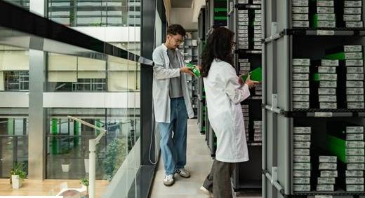 Már nem az ár diktál a felújított mobil eszközök piacán