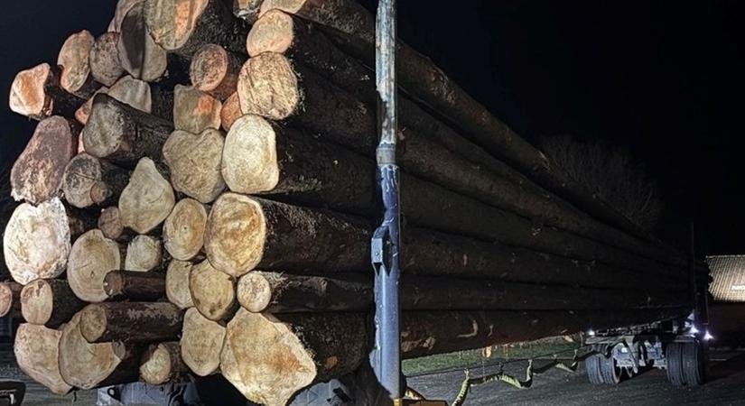 Hozzák-viszik a faanyagot: északon fittyet hánynak a súlyhatárra