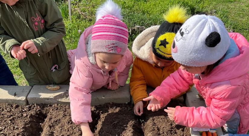 A Tesco vásárlói így segíthetnek a kunpeszéri óvodának