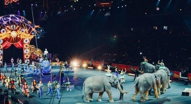 Közös előadásra készül a Fővárosi Nagycirkusz és a Budapesti Operettszínház