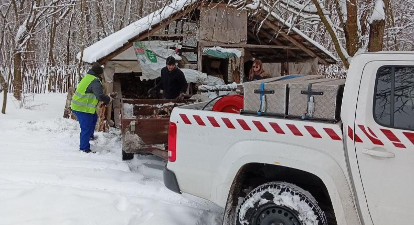 Éjfélig tartó jókedv Kisteleken: tűzoltóbált rendeznek, ami egyben jótékonyság is