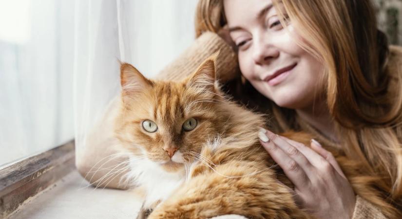 A macskatartás és a skizofrénia között nagyobb az összefüggés, mint eddig hittük
