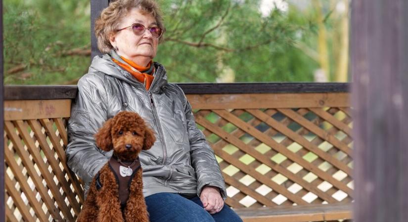 Közleményt adott ki a magyar kormány a nyugdíjasoknak