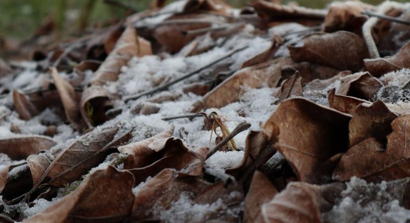 Vége a télnek? A változás most az ablak alatt történik