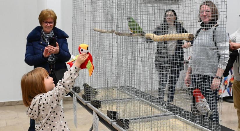 Mindenkit elvarázsolt a rendhagyó szolnoki program, ritkán látni enni különlegességet egy helyen – galériával