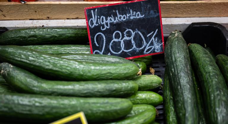 Elszálltak az zöldségárak, utánajártunk, miért került 1600 forintba az uborka