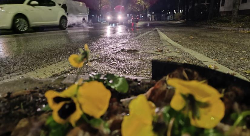 Januárban ritkán látni ilyet: kellemetlen mellékhatásokkal ért ide a front