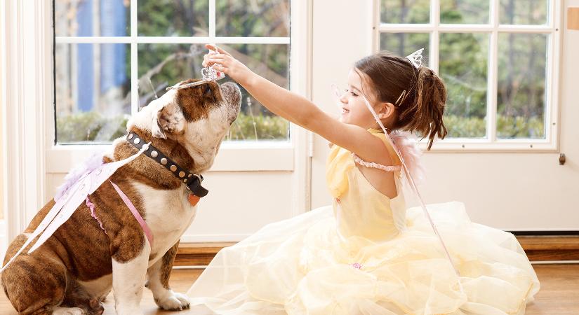 Itt a farsang, áll a bál – Dudics Emese jegyzete