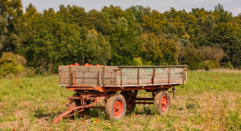 Másfél év börtön a halált okozó, elszabadult pótkocsi miatt