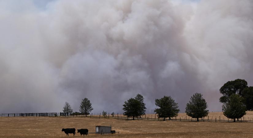 Közel 100 fokos hőmérsékleti különbséget mértek szombaton észak és dél között