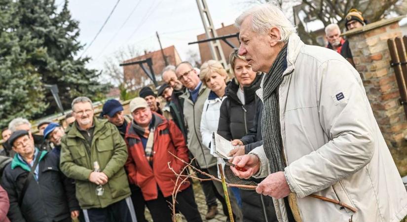 A szekszárdi kertbarátok Vince-napi ünnepsége az Istifángödrében