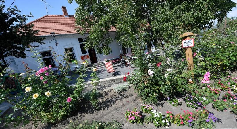 Kiderült, ennyibe kerülnek most a tóparti nyaralók