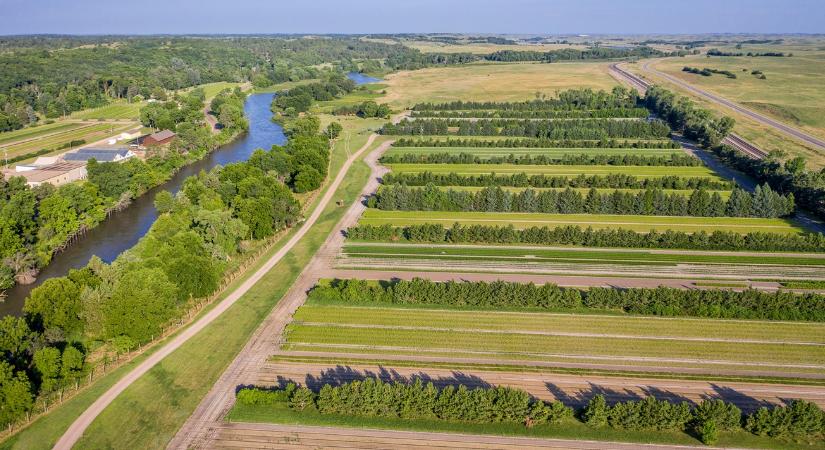 "Keresd a lehetőségeket, de készülj a kudarcra"