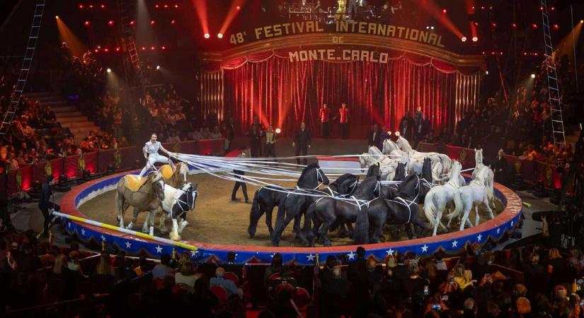 Újabb magyar artista nyerte el az Arany Bohóc-díjat – Richter Angelina: eddig a munkáról szólt az életem