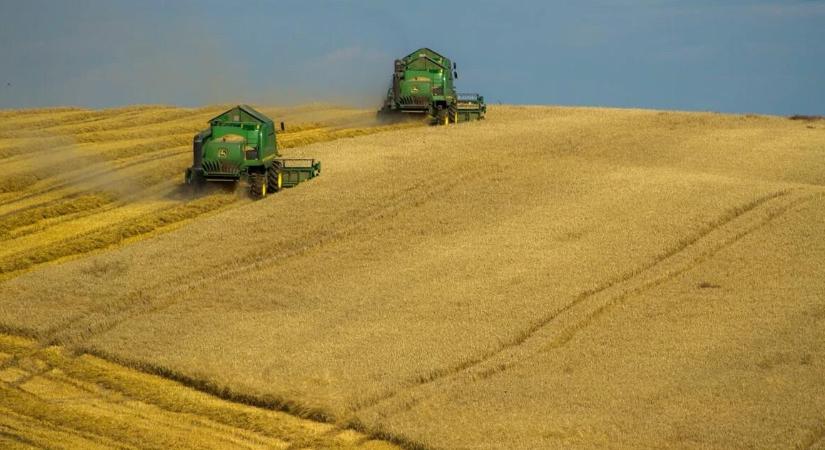 Miért fontos a gabonaszárító teljesítménye?