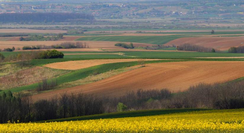 Drágul a termőföld Romániában, de még mindig az olcsóbb országok között van
