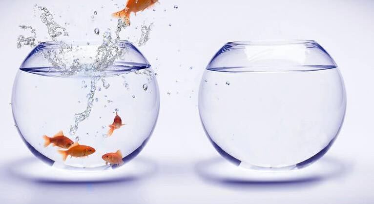 Életünk közepe és a karrierváltás