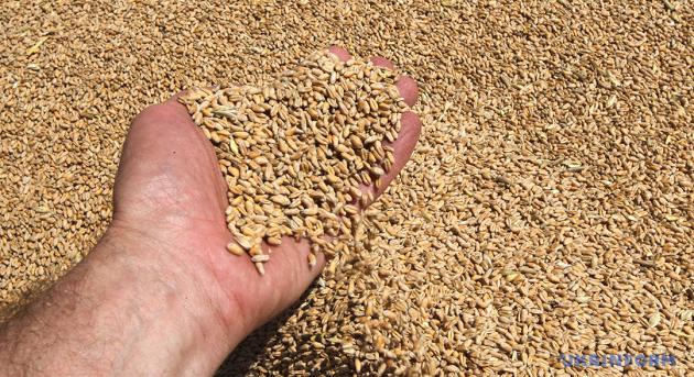 Tavaly Oroszország 400 millió dollár értékben szállított el gabonát az ideiglenesen megszállt területekről – hírszerzés