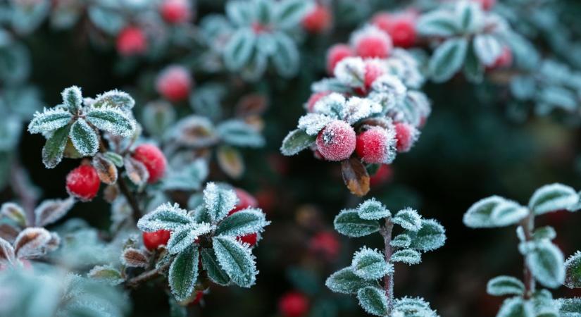 Szeles, változékony idő vár ránk – mutatjuk a holnapi időjárást