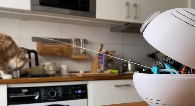 Ha másra nem is, a pulton ólálkodó macskák ellen már jó az AI