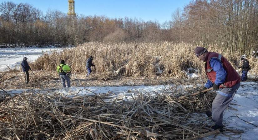 Sok éve vártak erre Sástón