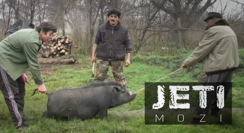 A disznó hála istennek kimúlt