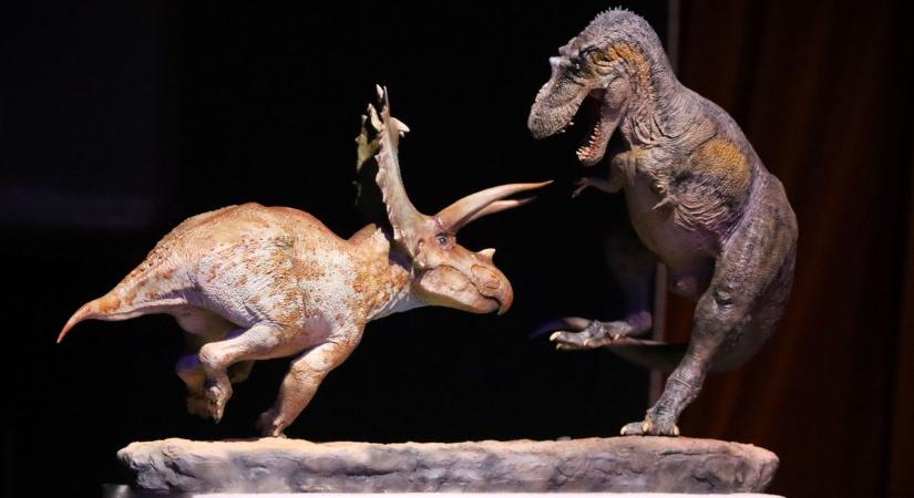 Spielberg irigykedne? Több mint 300 raptor, T-rex és rokona uralja a zalai várost (galéria, videó)