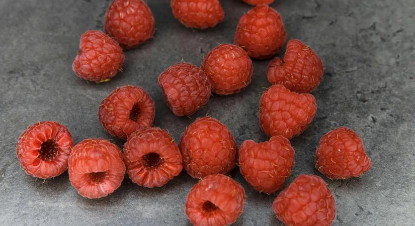 Mérgezett málnával állt bosszút: folyóba ugrott a rendőrök elől a gyermekgyilkos