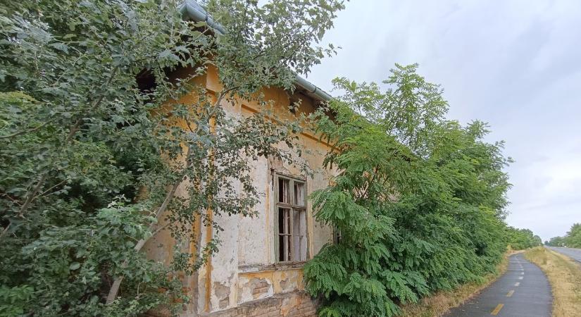 Autók az árokban, iskola a piacon, csillagok a szerencséről