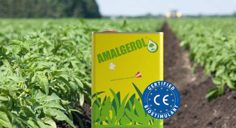 2025-ben elsőként kapta meg az uniós engedélyokiratot az Amalgerol