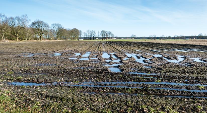 3 napos időjárás: Gyarapodnak azok a milliméterek!