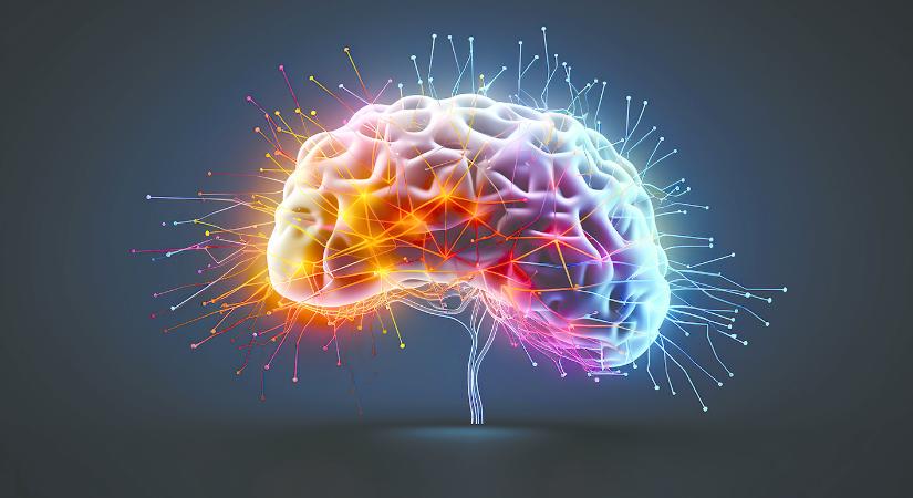 Agyi aktivitás mérése biolumineszcens módszerrel