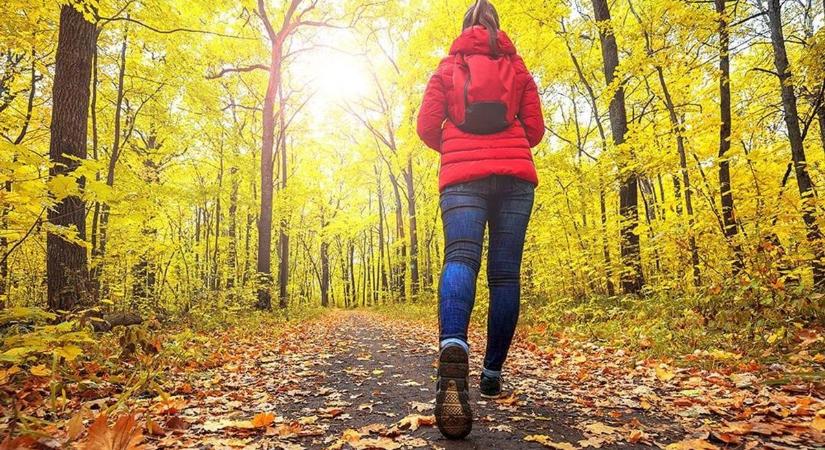 A látóhatár peremén mintha már a tavasz integetne