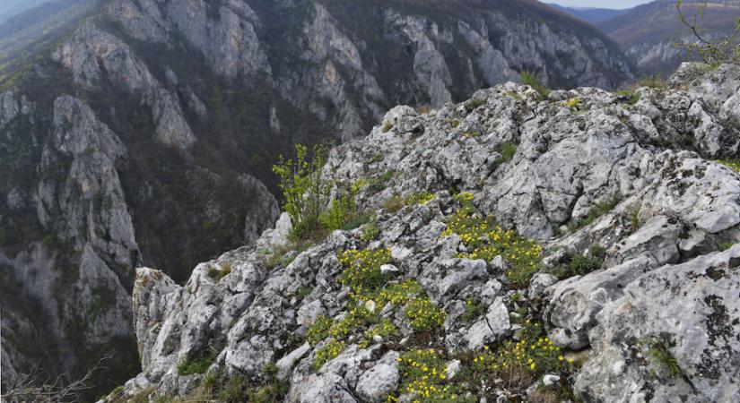 Népszerű úticél volt a Szádelői völgy és a tornai vár tavaly