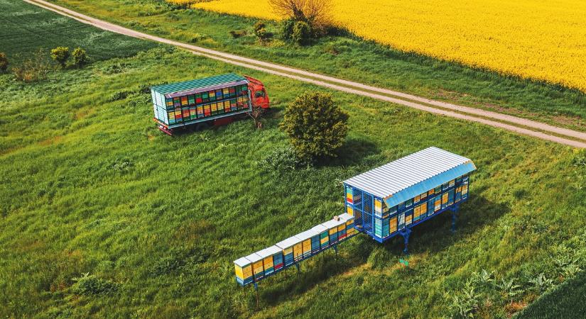 Méhészeti támogatás 2026: így igényelhető a csekély összegű segítség