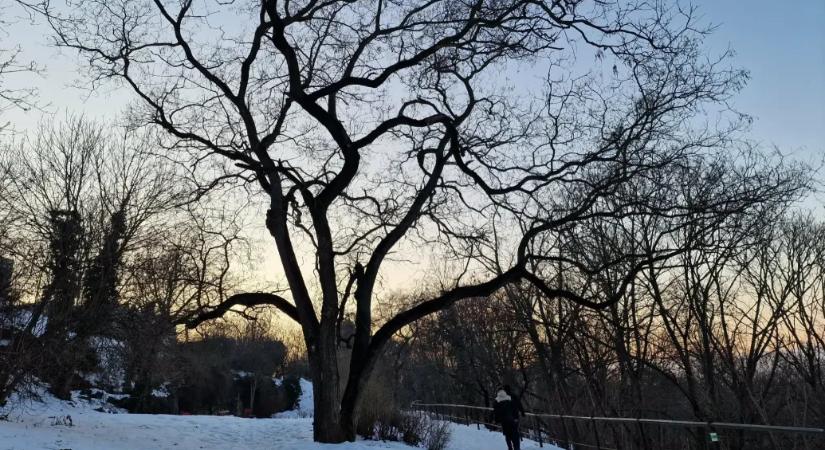 Esős, ködös napok jönnek, akár 12 fok is lehet