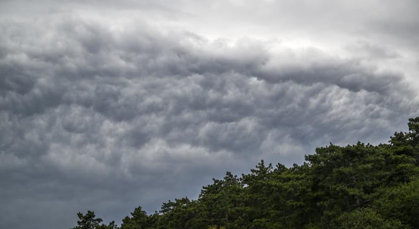 Borult, de enyhe idővel búcsúzik január