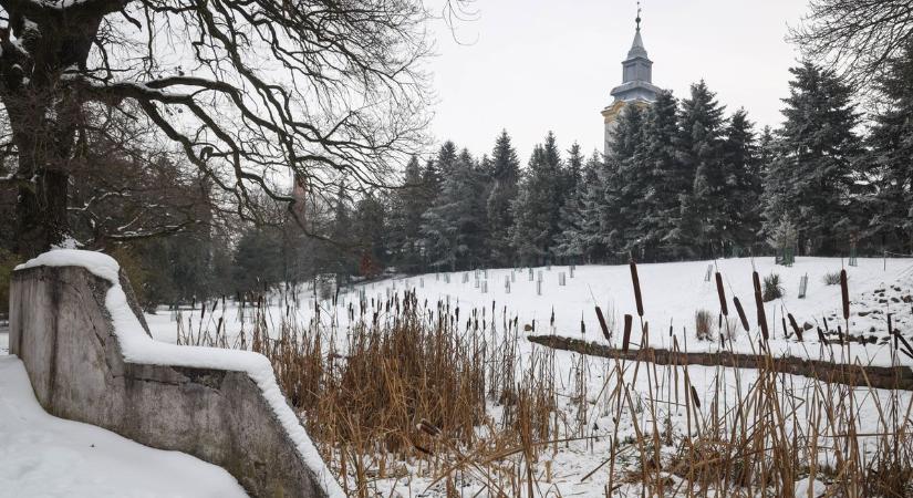 Ilyennek még nem láttuk a legcsodálatosabb jászkunsági arborétumot – galériával, videóval