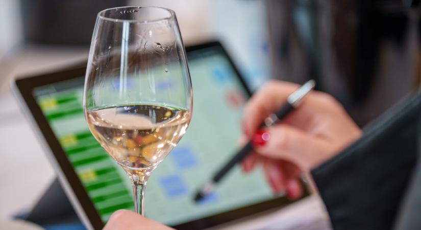 Megnyílt a nevezés a rangos nemzetközi borversenyre