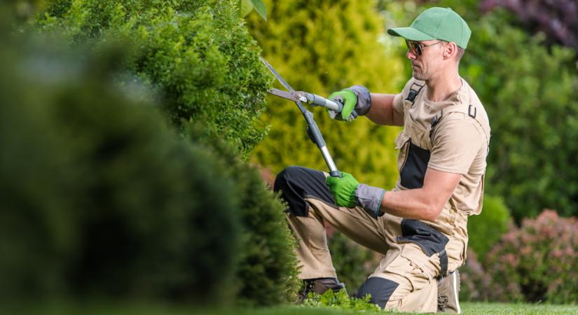 Hasznos és személyes ajándékok kertészkedést kedvelőknek