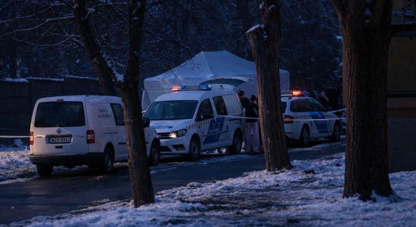 Tragédia: holtan találhatták meg az eltűnt 30 éves pécsi édesanyát