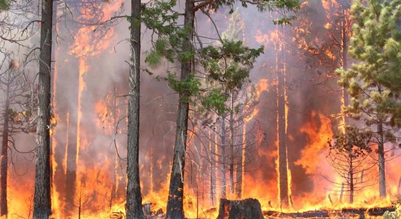 86 000 dollárról pattant vissza a bitcoin a kormányzati krízis következtében