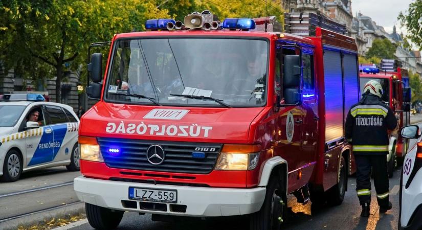 Szalagkorlátnak ütközött egy autó az M5-ös autópályán