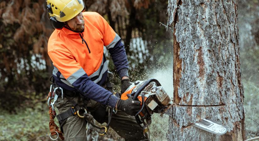 Ezeket a kerti munkákat még most kell elvégezni – Nagy kárt okozhatsz a halogatással