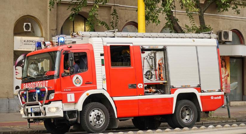 Fának csapódott egy autó Kövegy határában