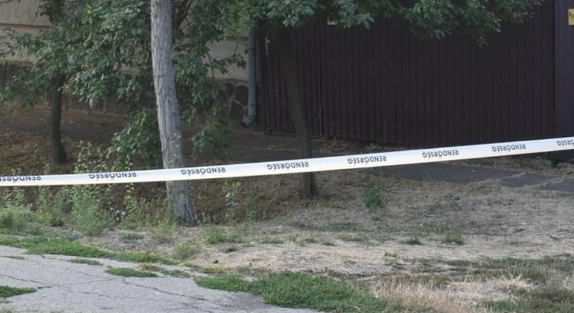 Végignézte a tízéves kisfiú, ahogyan a bátyja lemészárolja Gyuri bácsit