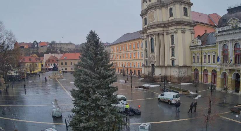 Bontják az egri karácsonyfát