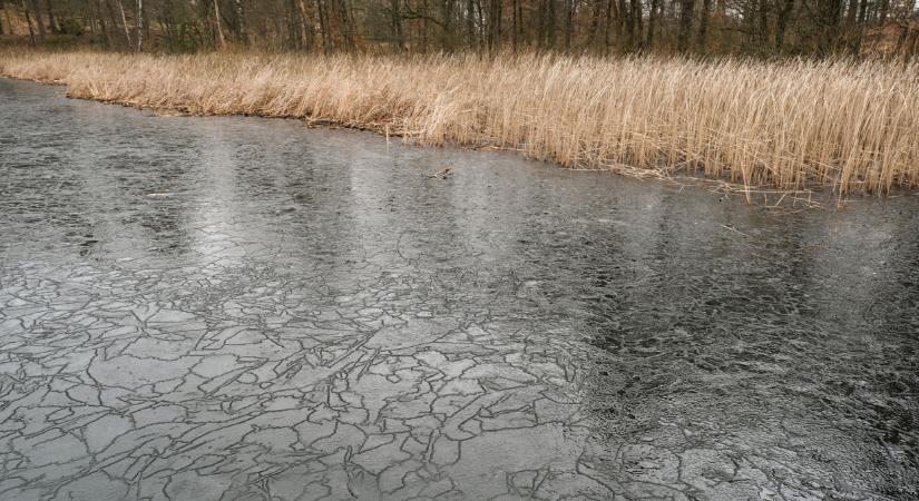 Újra aratnak a Balatonnál: így már évek óta nem csinálták