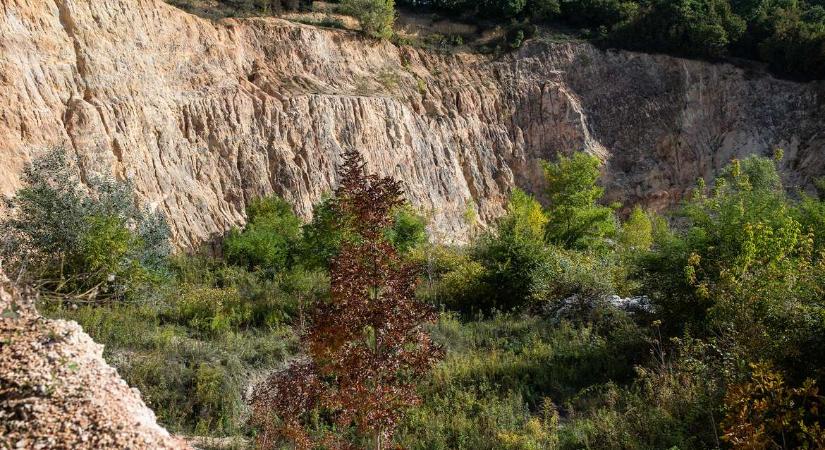 Győztek a civilek? Döntött a kormányhivatal a csobánkai dolomitbánya sorsáról