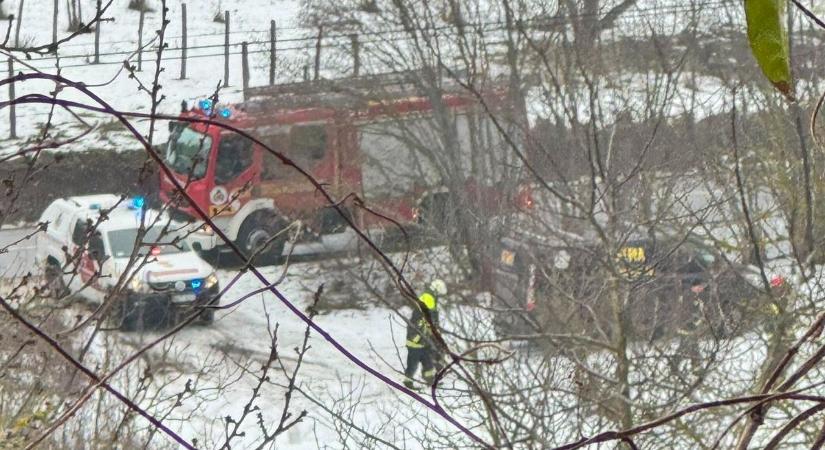 Példátlan támadás érte a Fema Állatmentőket, tűzoltók vonultak a helyszínre